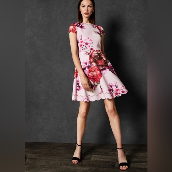 Ted Baker Dresses & Skirts - ✨HOST PICK✨TED BAKER DRESS | Splendour Skater Dress
